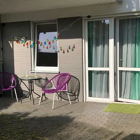 Goma Rent Gdynia